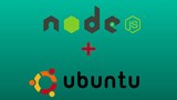 Инсталирайте Node.JS чрез Node Version Manager на Ubuntu 14.04