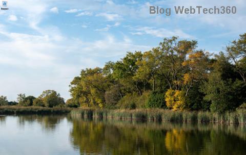 Застряг фон екрана блокування Windows 11? Розблокуйте приголомшливі виправлення, які працюють миттєво!