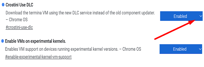 Solucioneu la versió beta de "Error en instal·lar Linux" del Chromebook