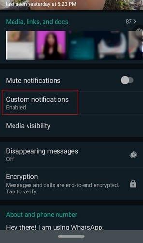 WhatsApp: Hvordan gi en spesifikk kontakt en annen varslingslyd