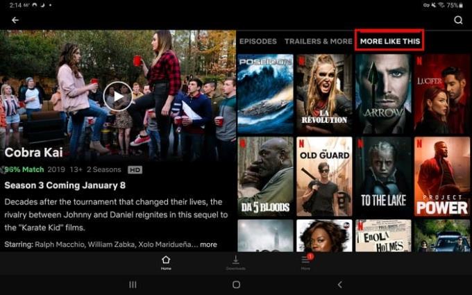 Netflix: savjeti i trikovi koje možda propuštate