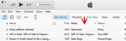 Sådan organiserer du dit iTunes-musikbibliotek