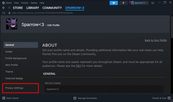 Jak skrýt hry před přáteli ve službě Steam