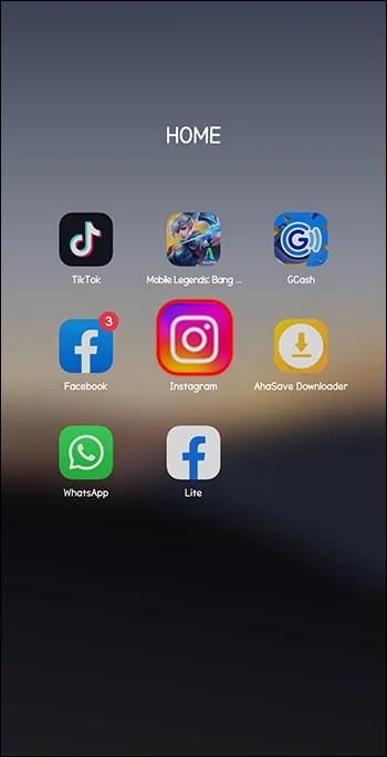 Nejlepší Instagram Reels Downloader