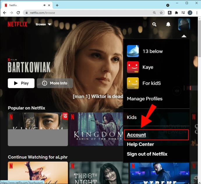 Jak sledovat korejský Netflix odkudkoli