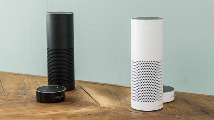Amazon Echo mēģina pasūtīt leļļu mājas visā Sandjego
