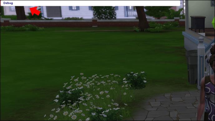 Kako isključiti Debug u The Sims 4