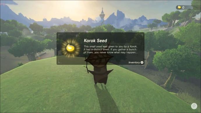 Tears Of the Kingdom Korok Seeds
