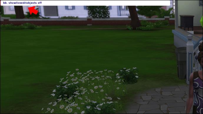 Kako isključiti Debug u The Sims 4