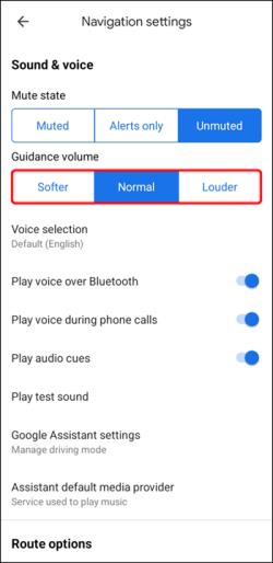 Kako popraviti, da Google Maps Voice ne deluje