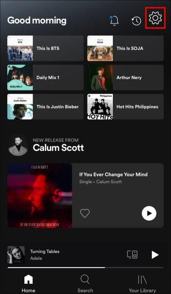 Jak zapnout nebo vypnout plátno ve Spotify