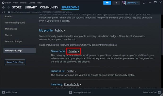 Jak skrýt hry před přáteli ve službě Steam