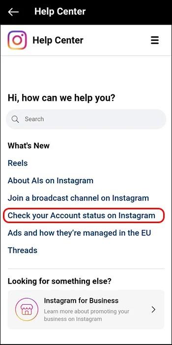 Jak kontaktovat Instagram