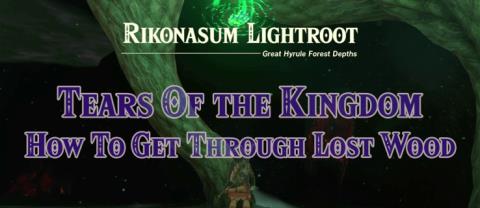 Hvordan komme seg gjennom The Lost Woods In Tears Of the Kingdom