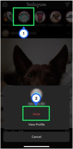 Jak zrušit zvuk příběhu Instagramu