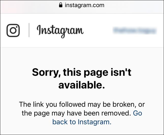 Kaip „Instagram“ rasti „vartotoją nerasta“.