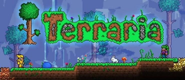 Terraria: Jak zastavit množení nepřátel