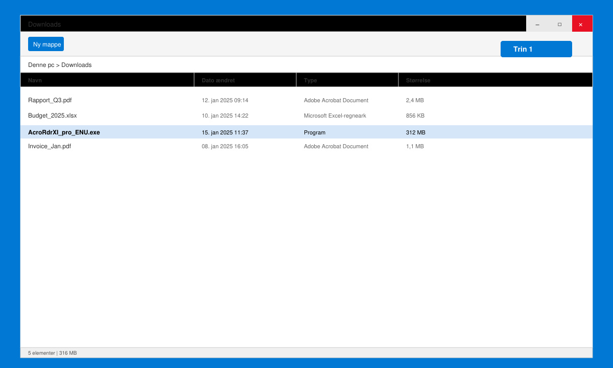 Skærmbillede af download-mappe med installationsfilen til Adobe Acrobat reader xi pro