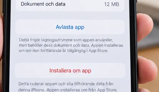 Del av iPhone-lagring där alternativet Avlasta app visas