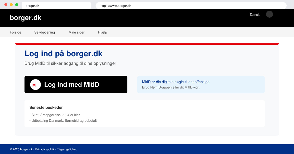 Borger dk mit ID