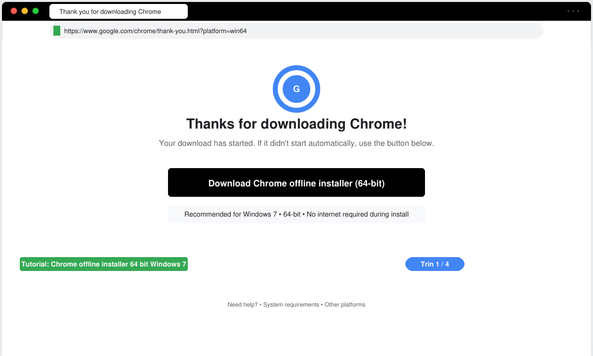 Browser window open at the Google Chrome thank-you page with the standalone download button visible