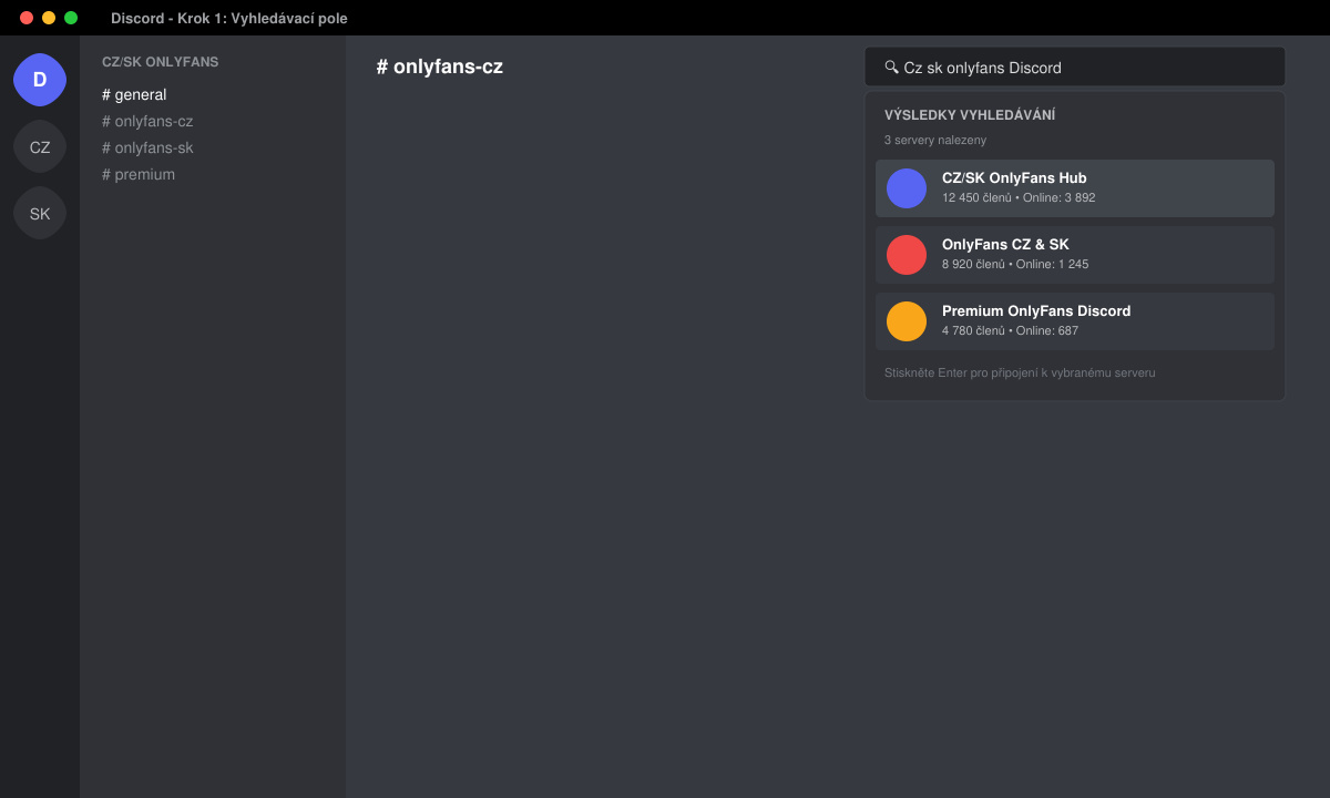 Snímek vyhledávacího pole v Discordu s výsledky pro Cz sk onlyfans Discord