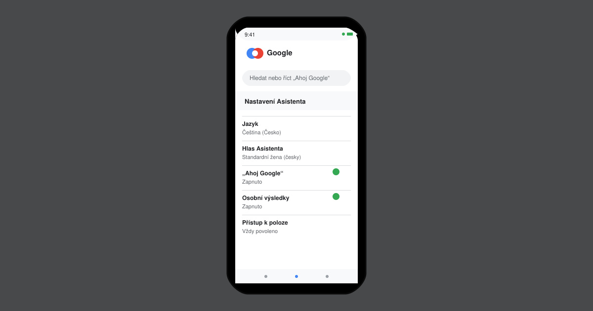 Google assistant v cestine