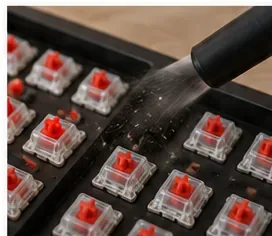 Compressed air clearing dust from the exposed plate and switches of a mechanical keyboard.