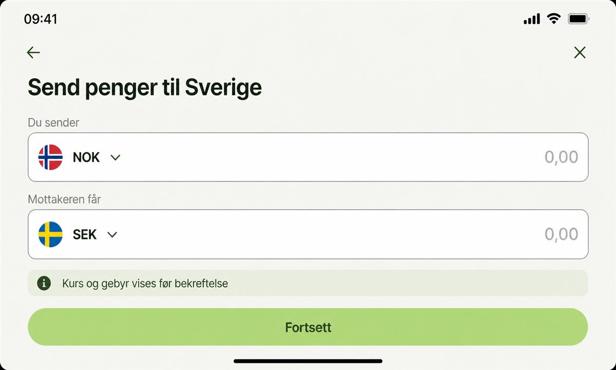 Sende penger til Sverige med Wise-appen