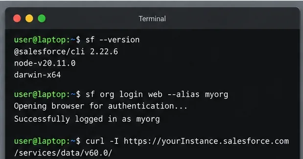 Illustrasjonsterminal som viser Salesforce CLI-versjonsinformasjon og en vellykket nettleserbasert organisasjonspåloggingskommando