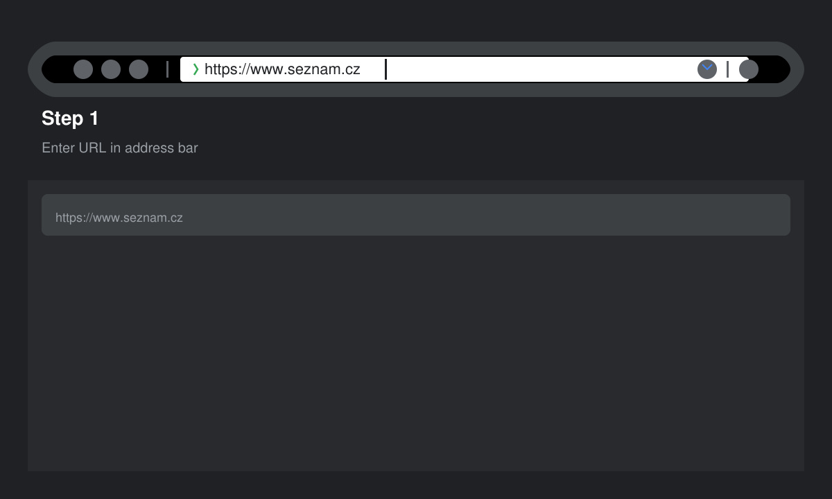 Close-up of a browser address bar with cursor ready to type