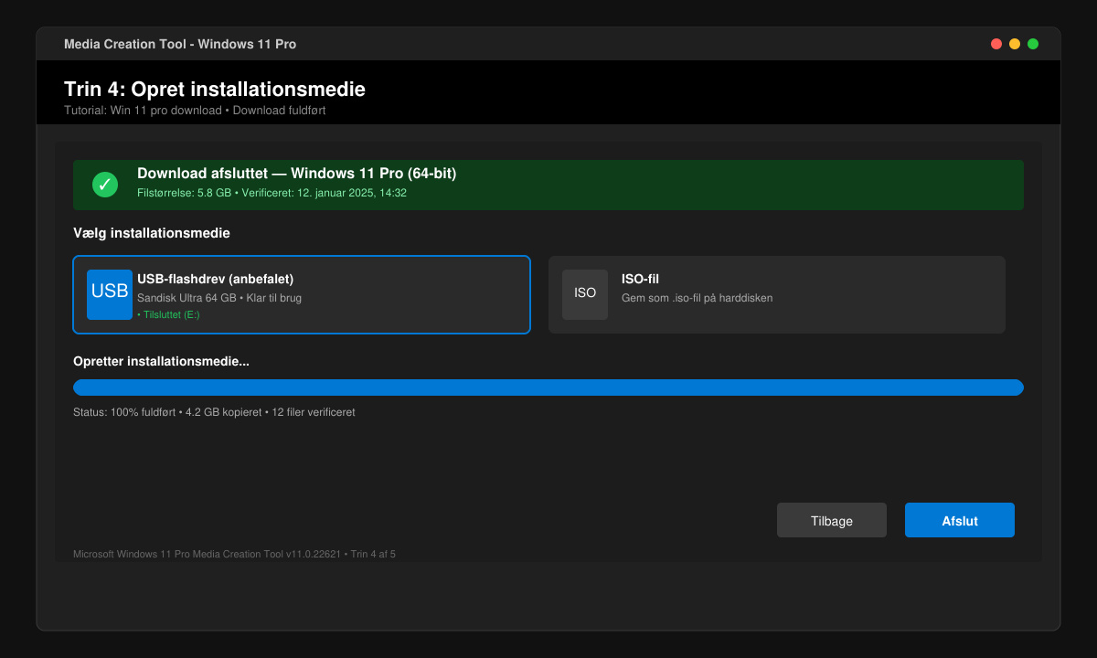 Windows 11 Pro installation screen after successful Win 11 pro download