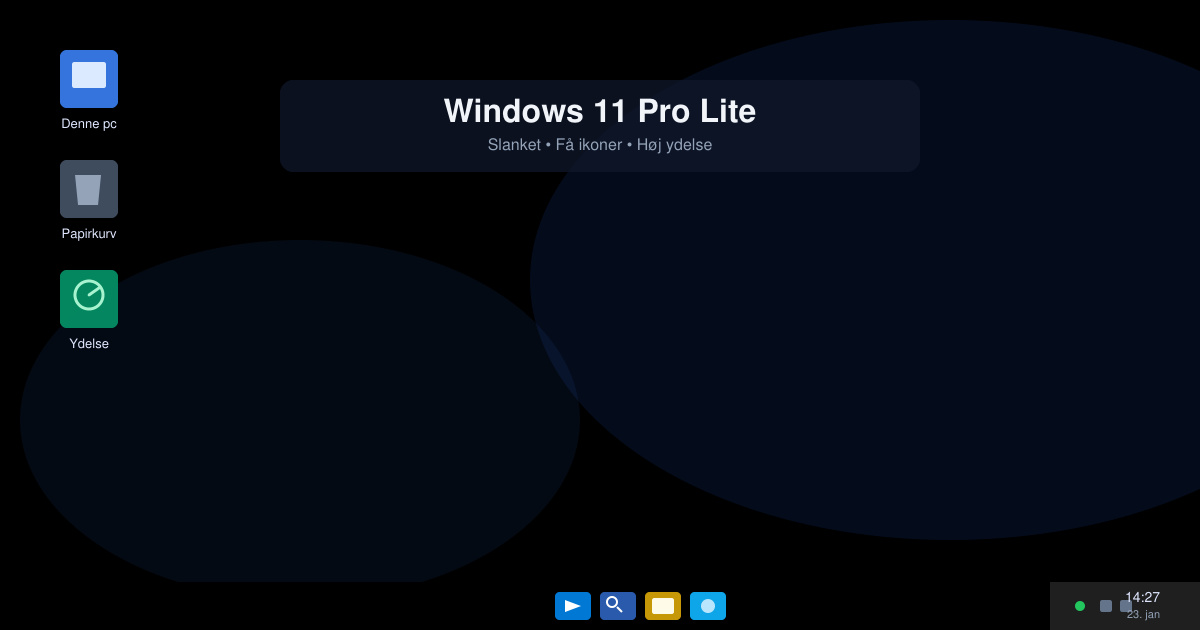 Windows 11 pro lite